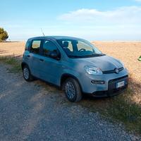 Fiat panda 2022