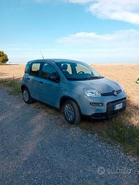 Fiat panda 2022