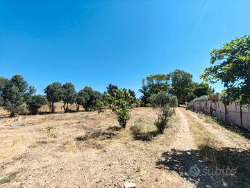 Fondo agricolo con casa in campagna