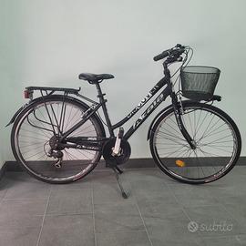 Bicicletta completa di carrello.
