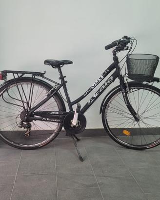 Bicicletta completa di carrello.