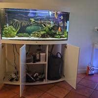 Acquario curvo Juwel Vision 260 LED