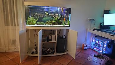 Acquario curvo Juwel Vision 260 LED