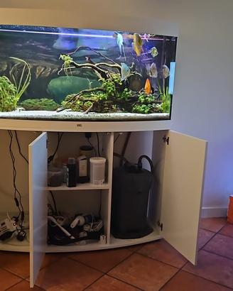 Acquario curvo Juwel Vision 260 LED