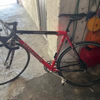 Bici Spreafico Alluminio Gruppo Campagnolo