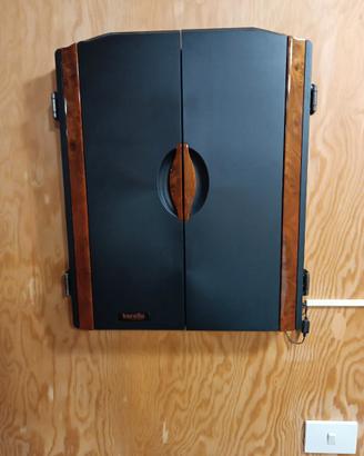 Gioco freccette 