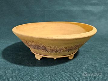 Vaso bonsai n.89