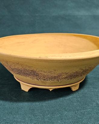Vaso bonsai n.89