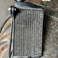 Radiatore+pompa acqua 