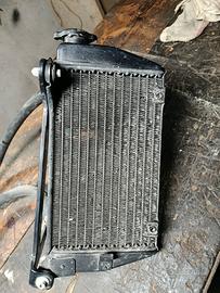 Radiatore+pompa acqua 