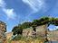 Immagine 29