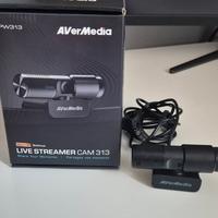 Webcam Avermedia PW313