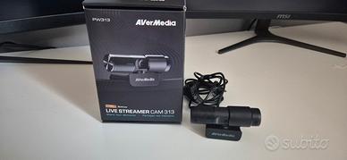Webcam Avermedia PW313