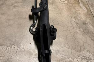 Coppia Portabici tetto