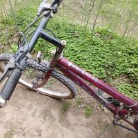 bici da donna