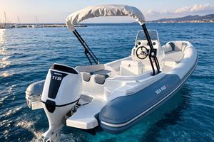 HONDA NEW  BF 115  & SEA 660 GT  NUOVI