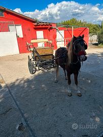 Attacco completo