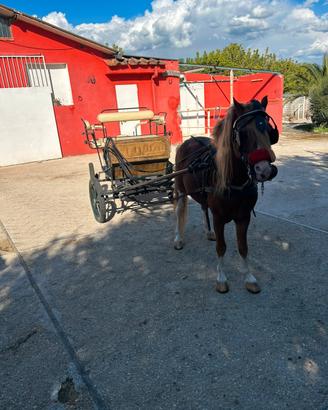 Attacco completo