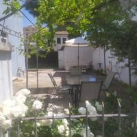 Casa vacanze estate 2026 pet friendly