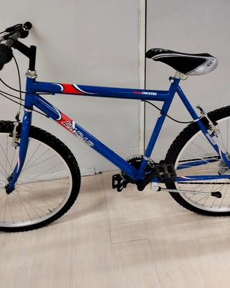 Bici blu e rossa 
