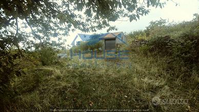 Ragalna - frutteto id: ra065t