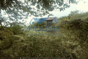 Ragalna - frutteto id: ra065t