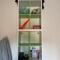 Libreria bianca e verde