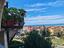 Immagine 11