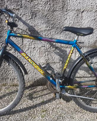 Mountain bike  Bandizol
