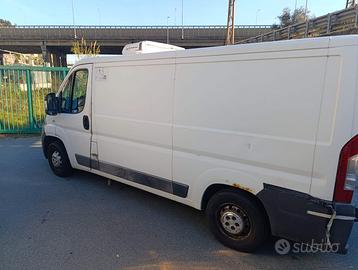 Fiat Ducato furgone