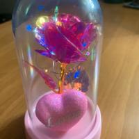 Rosa in campana con LED