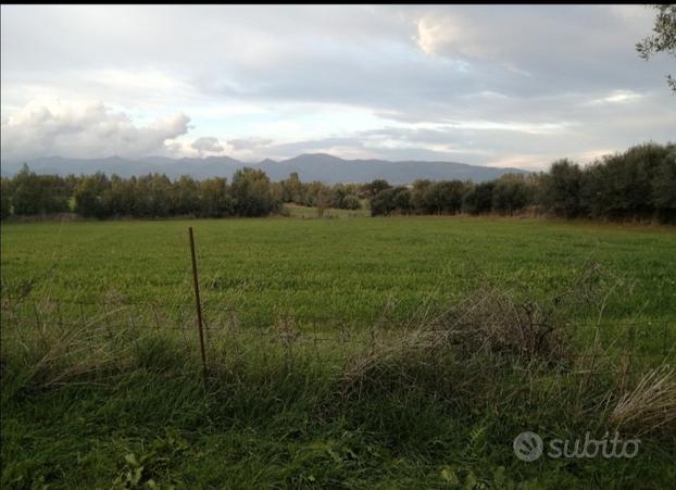 Terreno agricolo Villamassargia