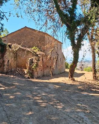 RUSTICO in posizione COLLINARE