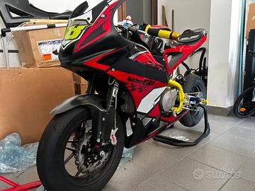 AYRTON SUPREMA 2026  Daytona 190