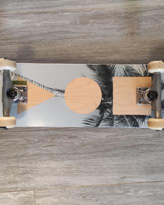 Skateboard