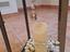 Immagine 6