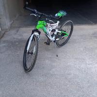 bicicletta casadei full power