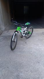 bicicletta casadei full power
