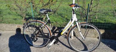 bicicletta bottecchia alluminio 