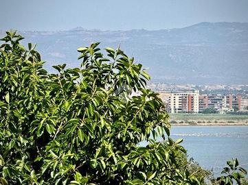 4 LOCALI A CAGLIARI