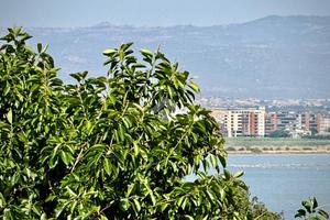 4 LOCALI A CAGLIARI