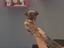 Immagine 3