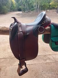 Sella australiana Lakota