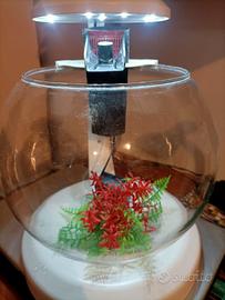 acquario globo marca tetra da 6.8 litri