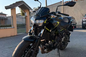 Kawasaki z650 my2022