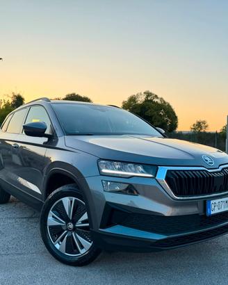 Skoda Karoq 2.0 TDI EVO SCR 115 CV DSG Executive