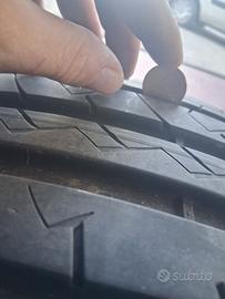Gomme estive