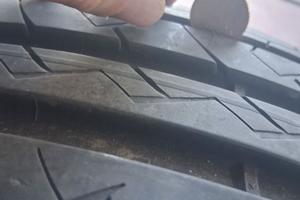 Gomme estive
