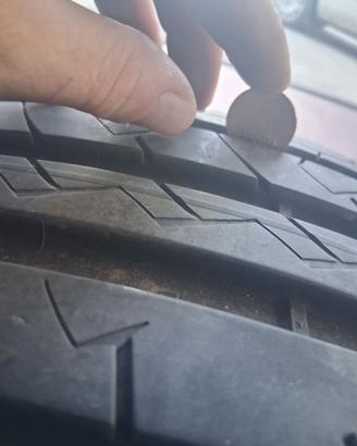 Gomme estive