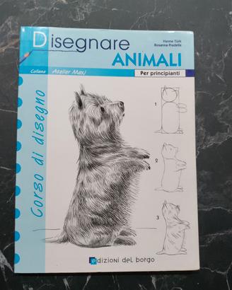 Libro per imparare a disegnare 